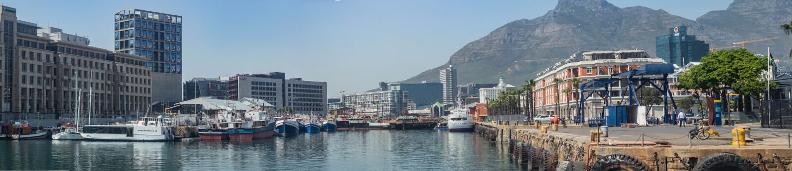 Canon EF 50mm F1.8 II sample photo. Cape town, south africa photography