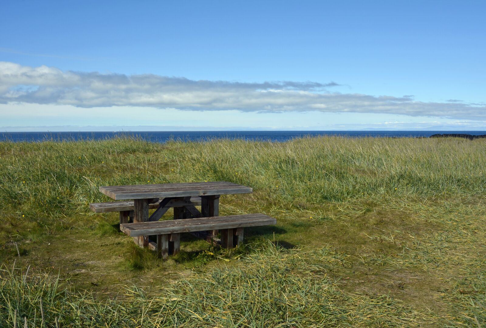 Nikon D7100 sample photo. Table, bank, picnic table photography