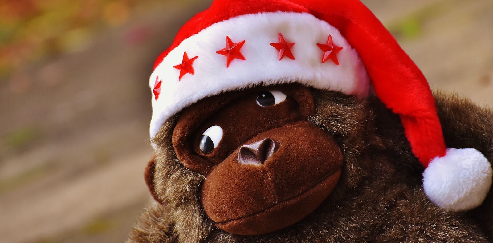 Nikon D7200 sample photo. Christmas, santa hat, stuffed photography