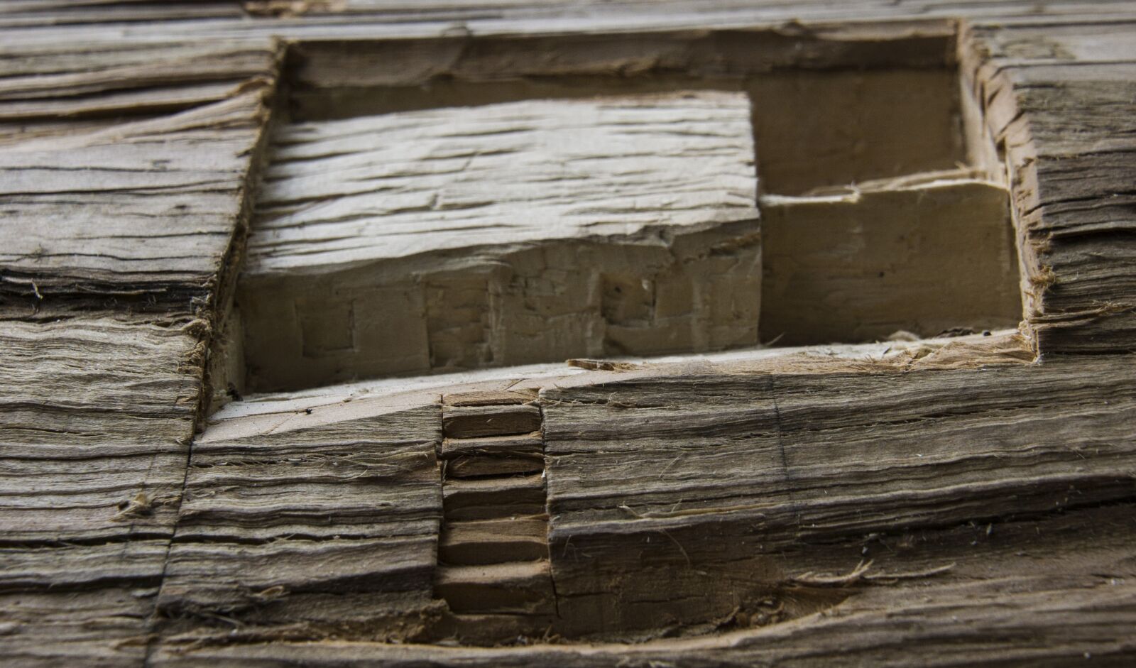 Sony SLT-A77 + DT 18-270mm F3.5-6.3 SSM sample photo. Wood, carving, art photography