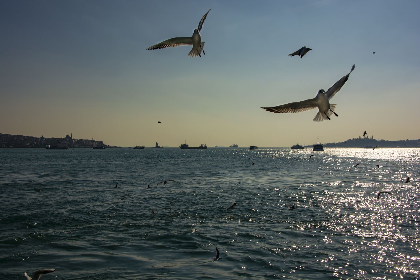 Nikon D5200 sample photo. Istanbul, marine, sky photography