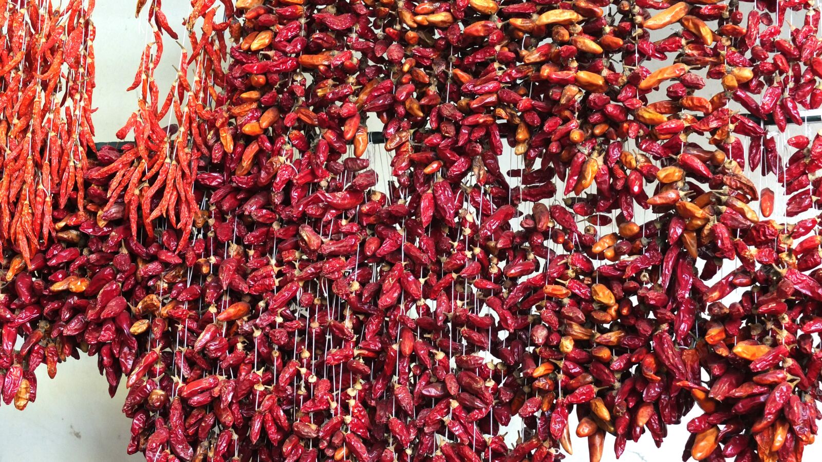Fujifilm X10 sample photo. Chillis, red, market photography