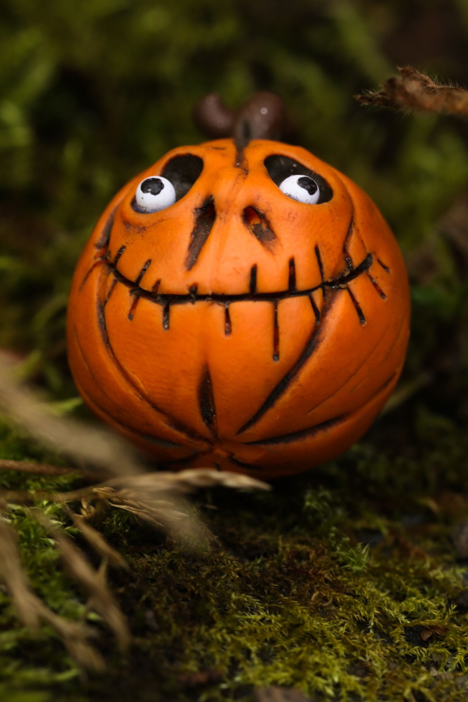 Canon EOS 7D Mark II sample photo. Pumkin, halloween, nature photography