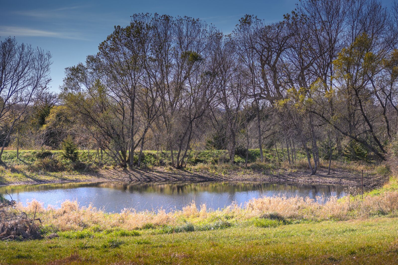 Nikon Z7 sample photo. Pond, trees, landscape photography