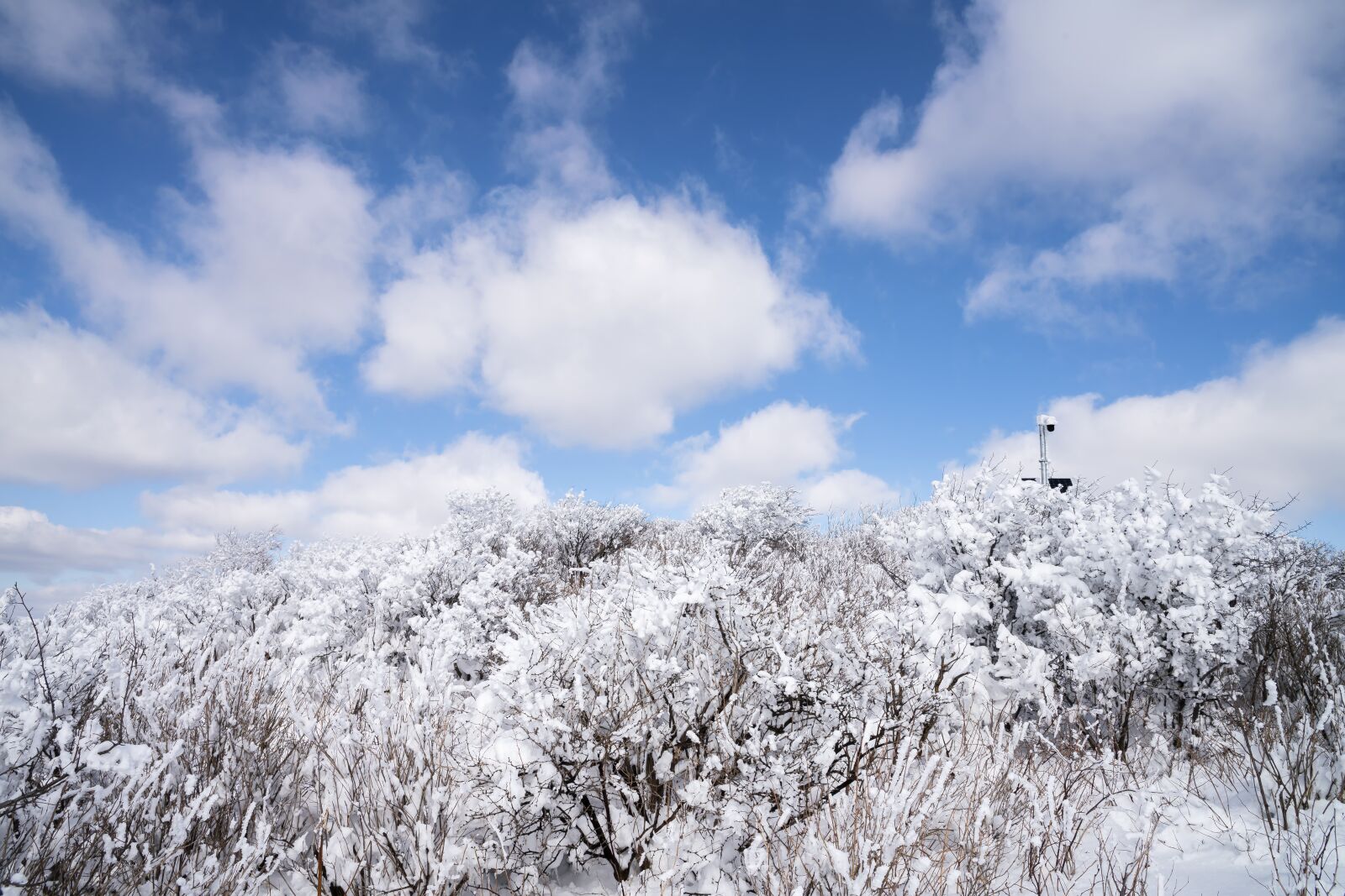 24-70mm F2.8-2.8 G sample photo. Winter, snow, white photography