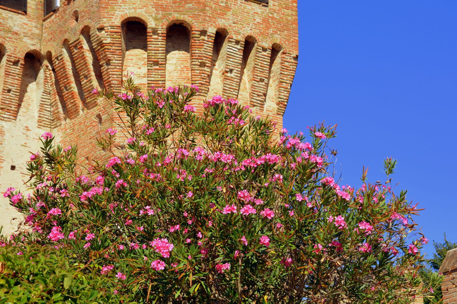 Nikon D7100 sample photo. Bloom, torre, castle photography