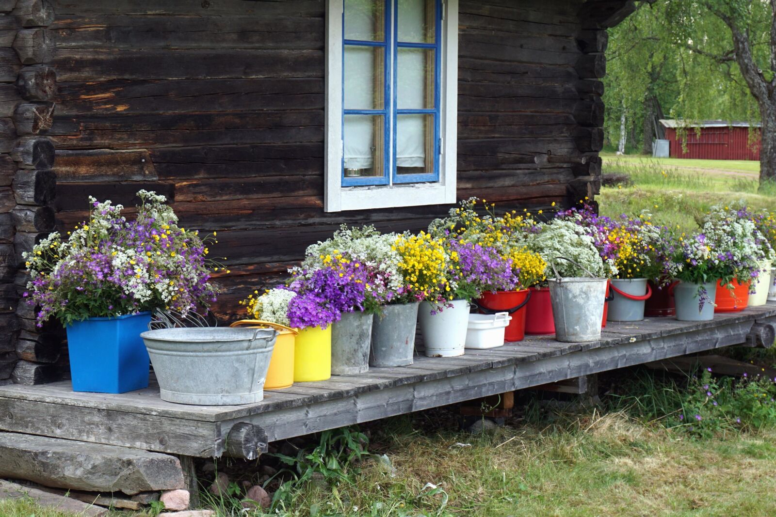 Sony a6000 sample photo. Flowers, house, wooden, window photography