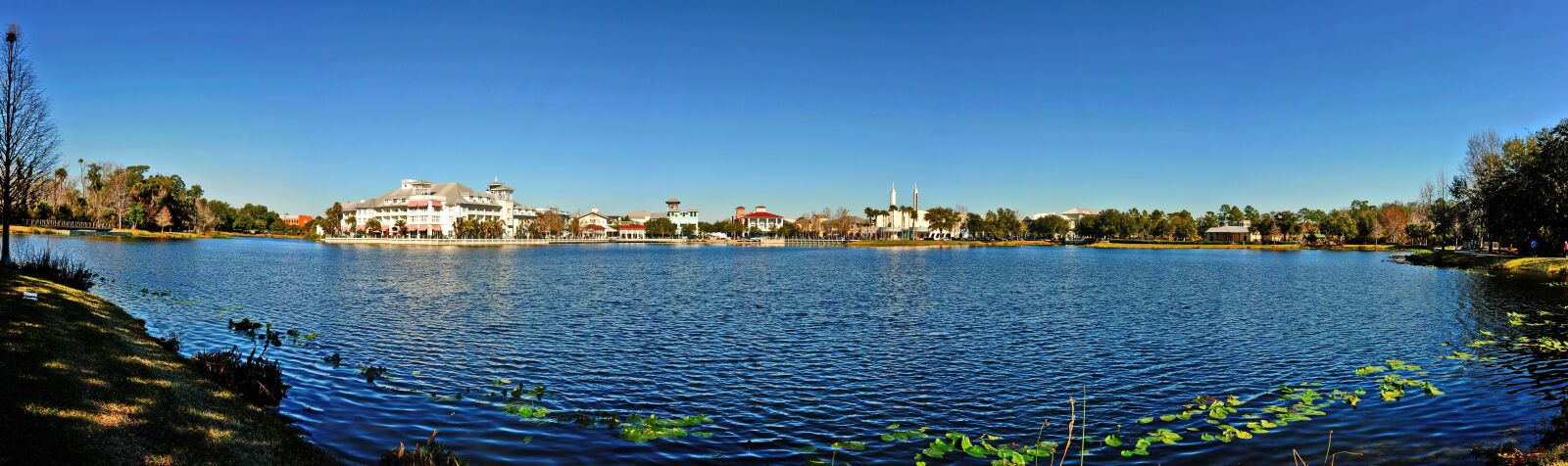 Nikon D700 sample photo. Celebration, fl, usa photography