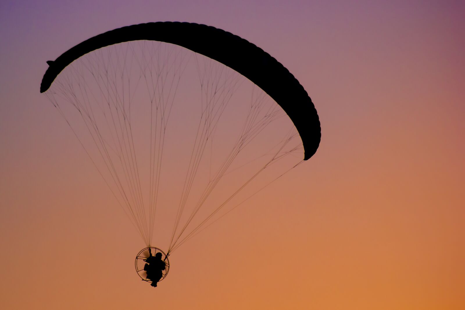 Canon EF75-300mm f/4-5.6 sample photo. Paragliding, sunset, sky photography