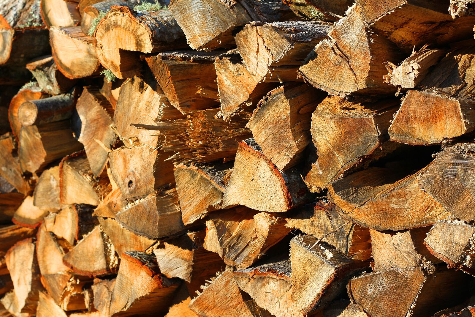 Canon EOS 7D sample photo. Stacked wood, cord wood photography