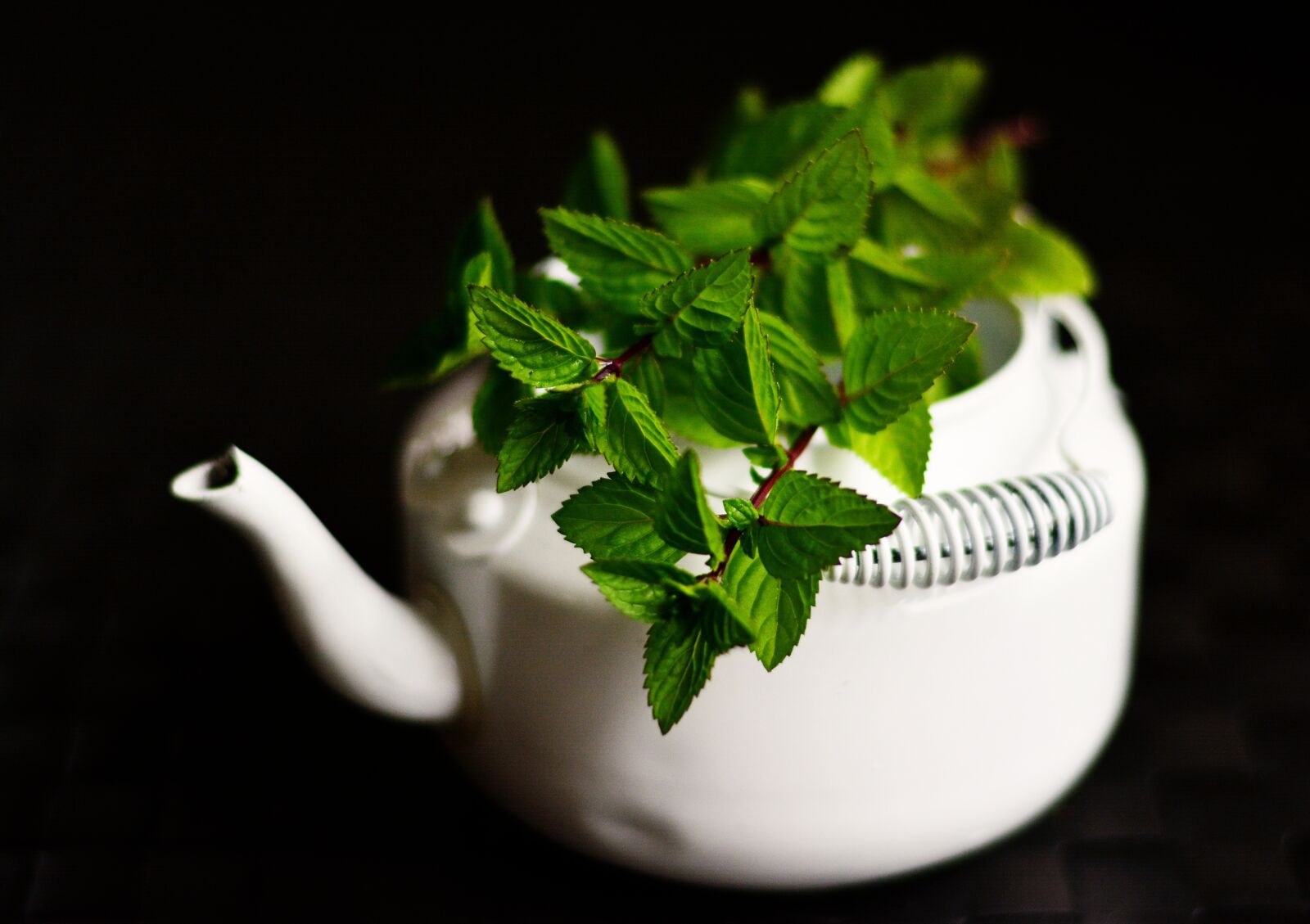 Nikon D5200 sample photo. Peppermint, medicinal plant, medicinal photography