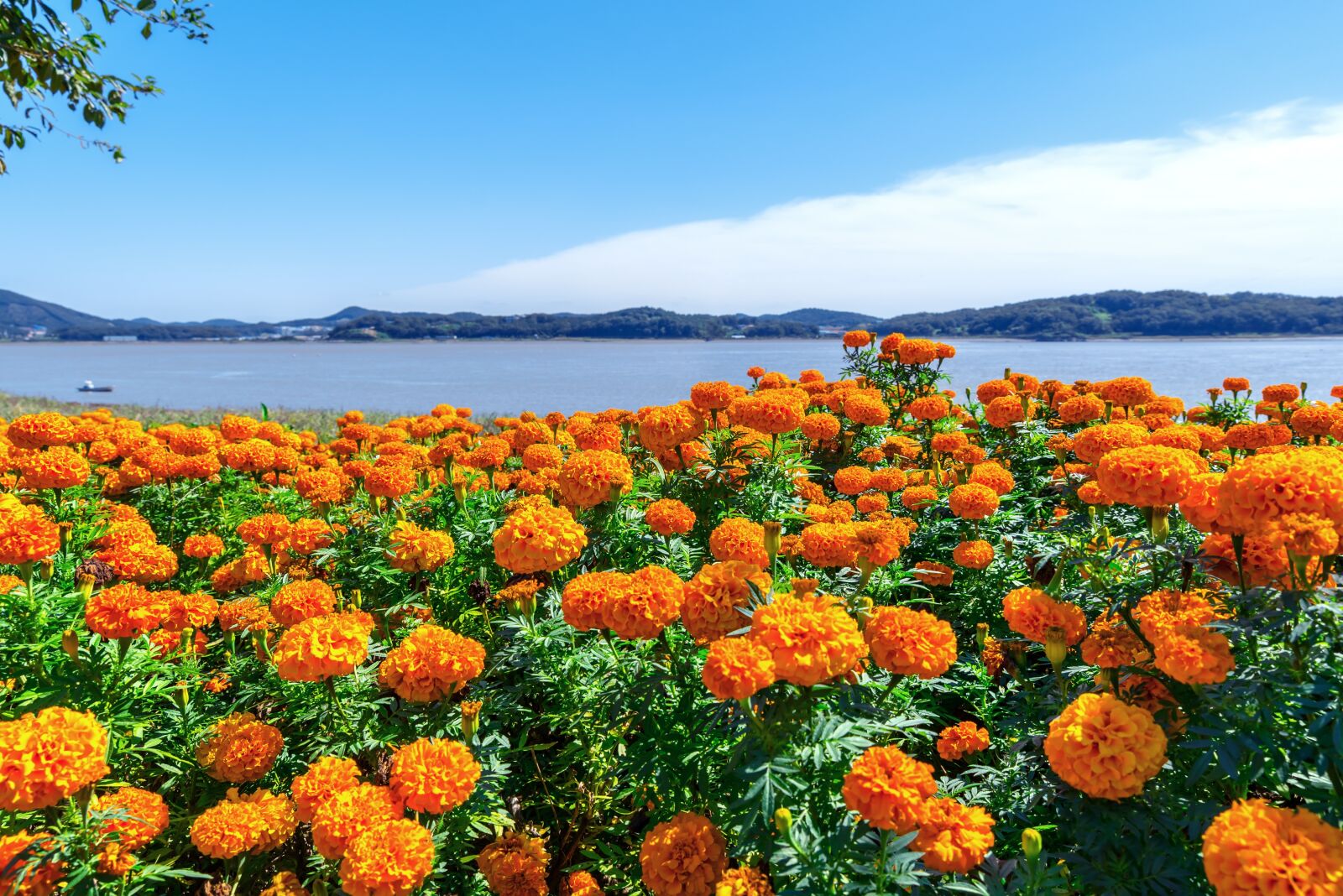 Nikon D750 sample photo. Korea, incheon, ganghwado photography