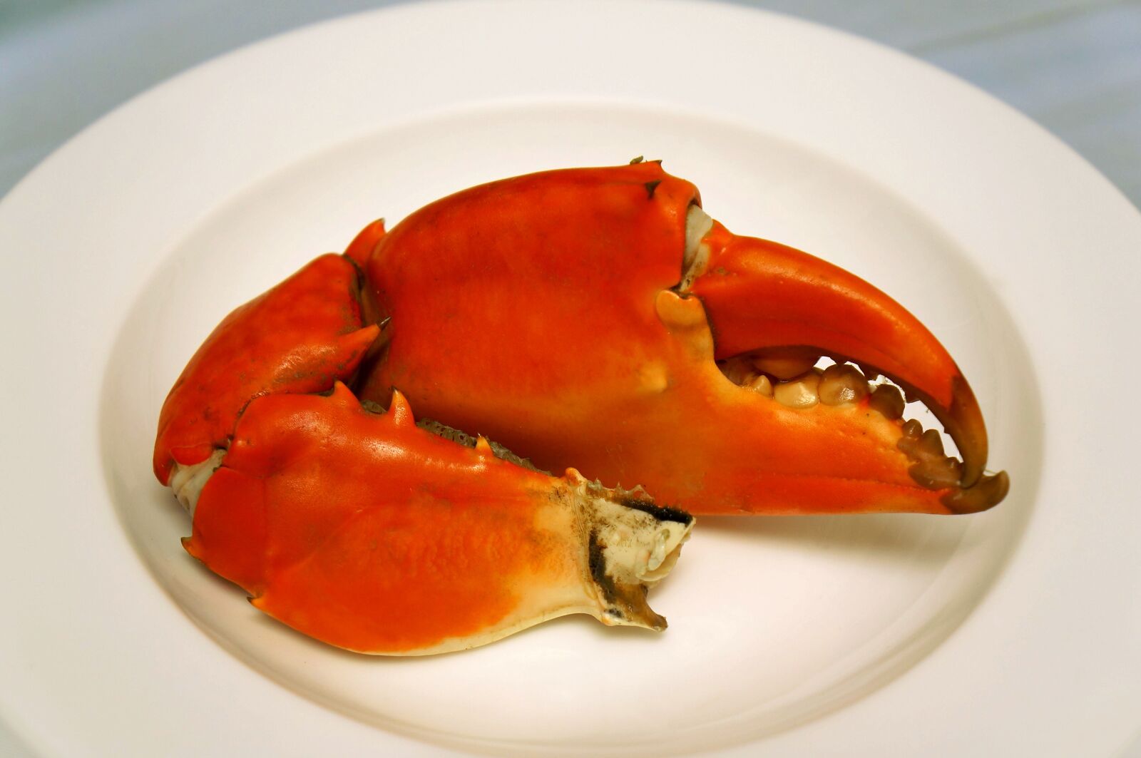 Sony Alpha NEX-F3 + Sony E 18-55mm F3.5-5.6 OSS sample photo. Food, as crab, ca photography