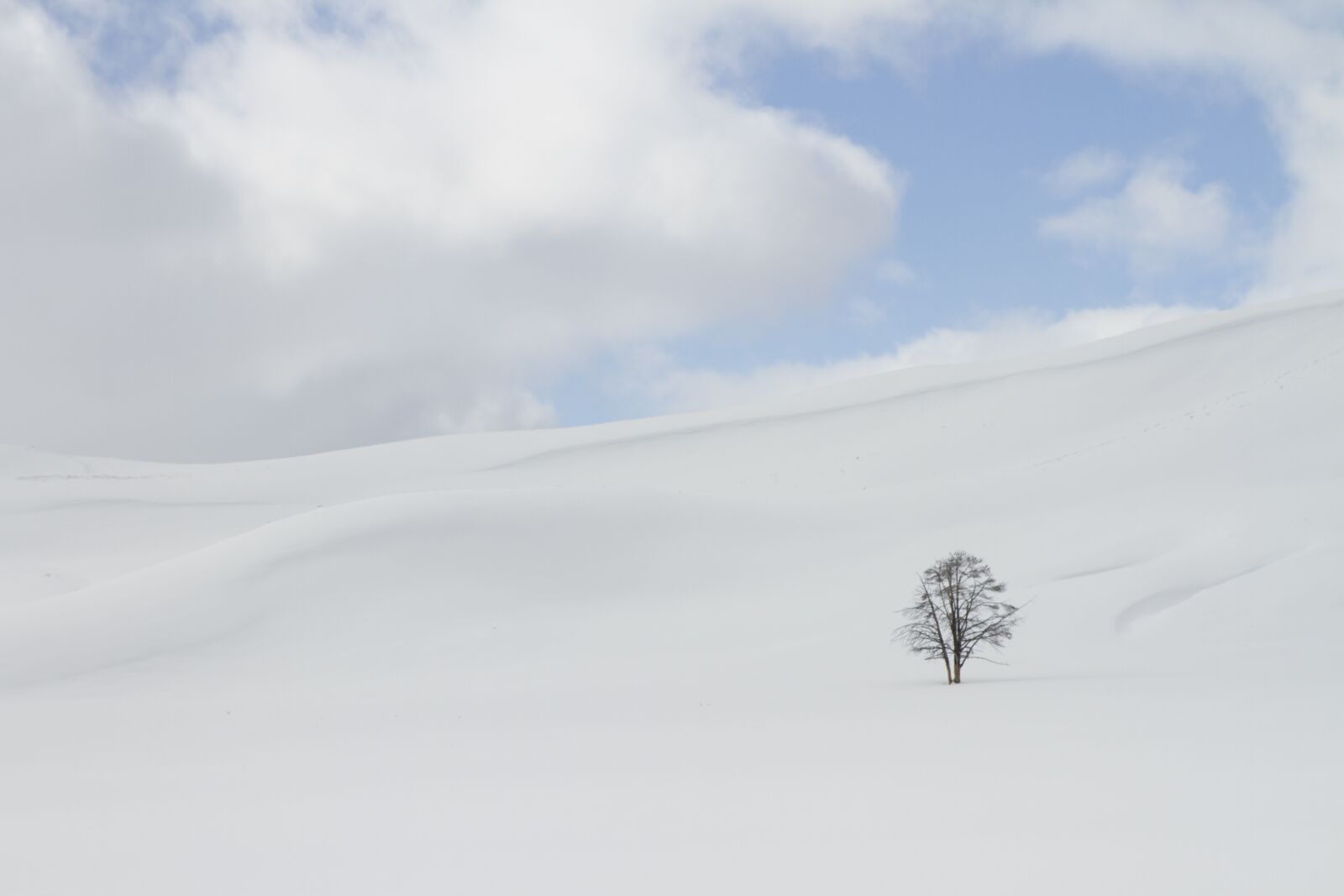 Canon EOS 7D sample photo. Winter, snow, isolation photography