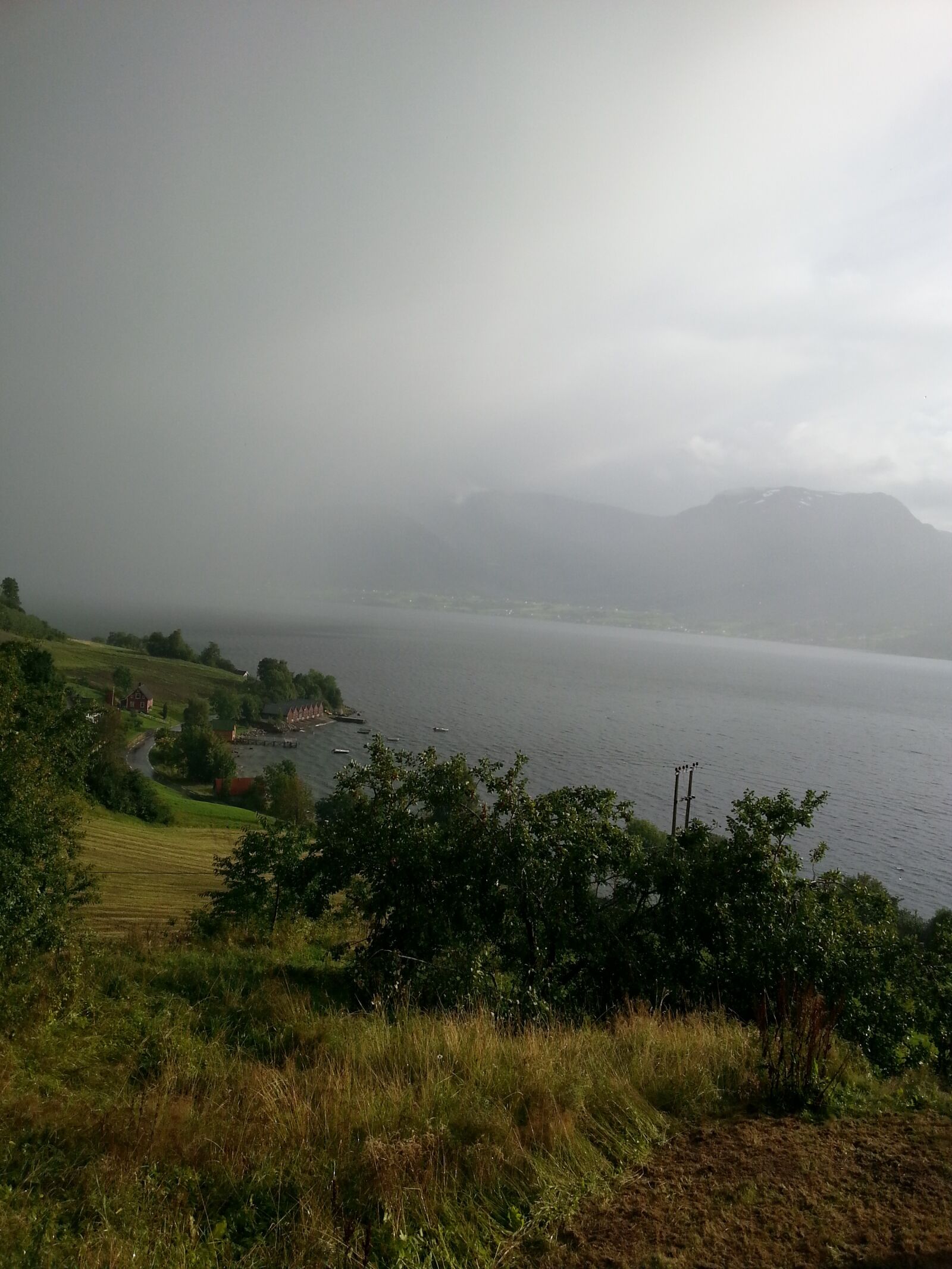 Samsung Galaxy S3 sample photo. Rain, fog, trees photography