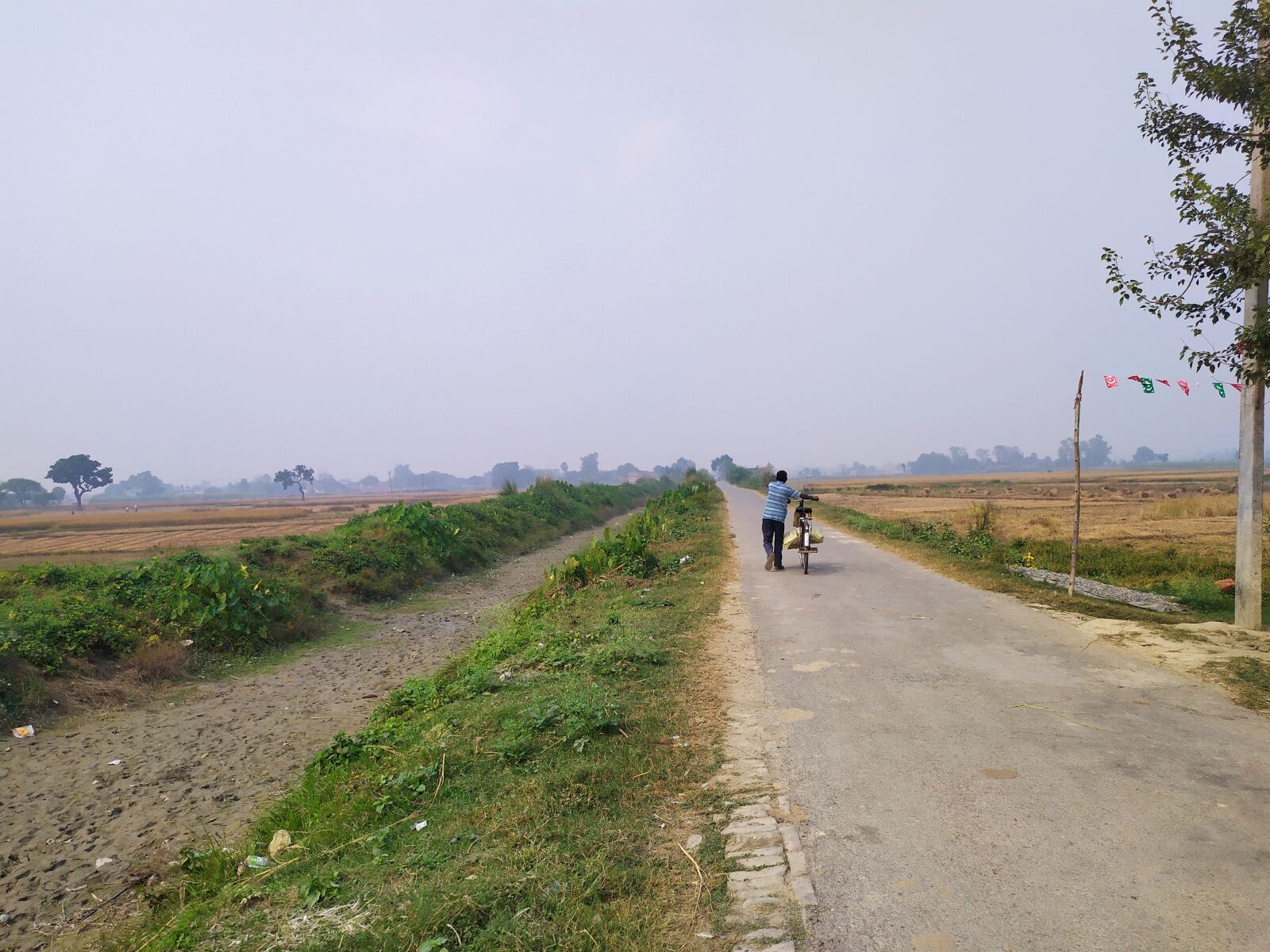 Xiaomi Redmi Note 7 sample photo. Village road, pathway, nature photography