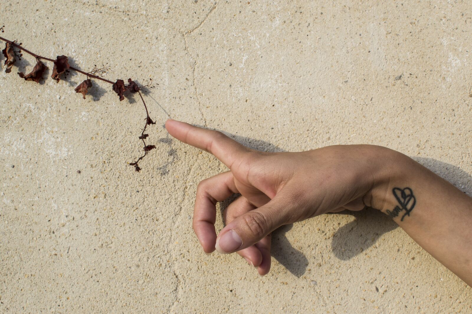 Nikon D3100 sample photo. Hand, work, plant photography