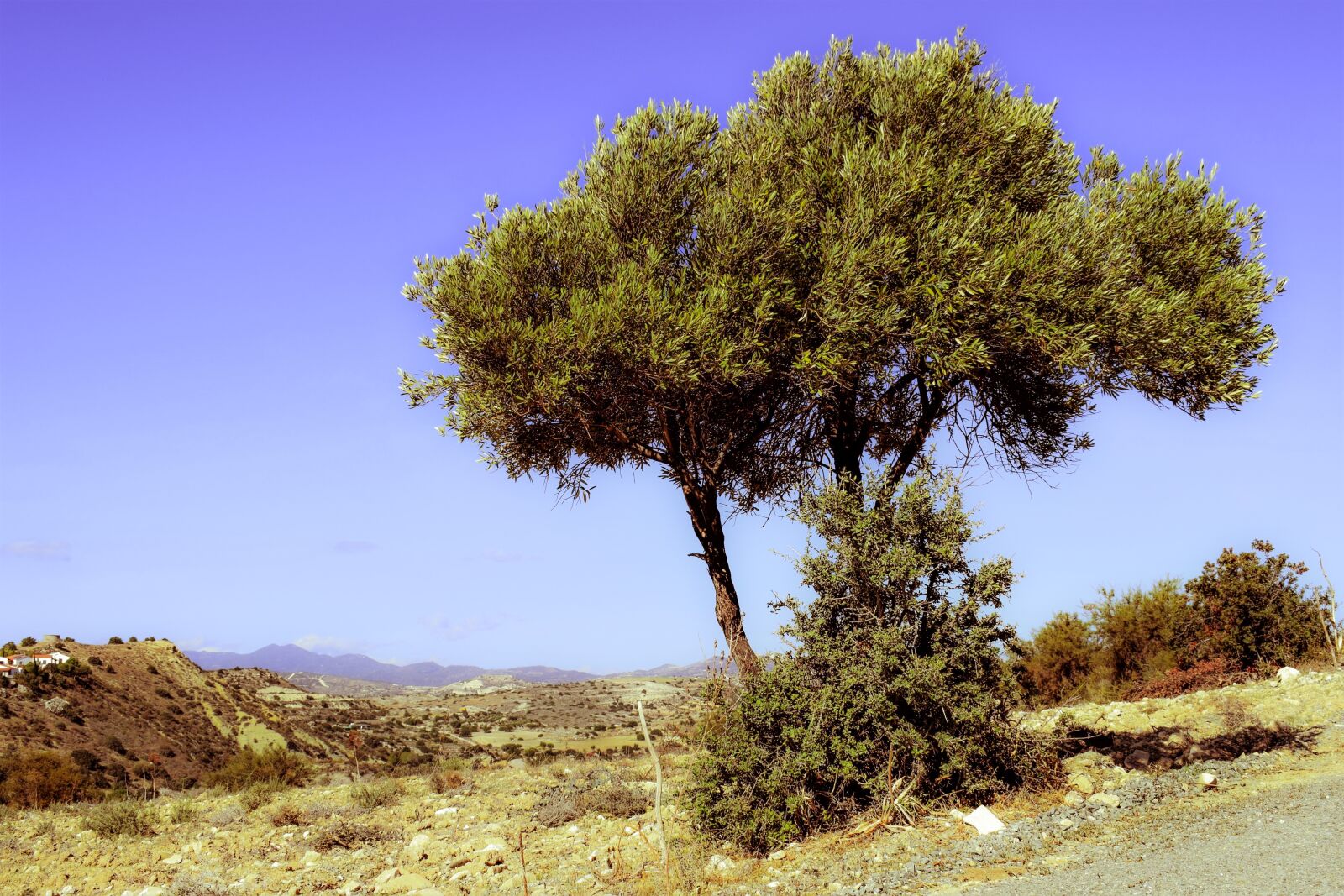 Nikon D3300 sample photo. Tree, landscape, countryside photography