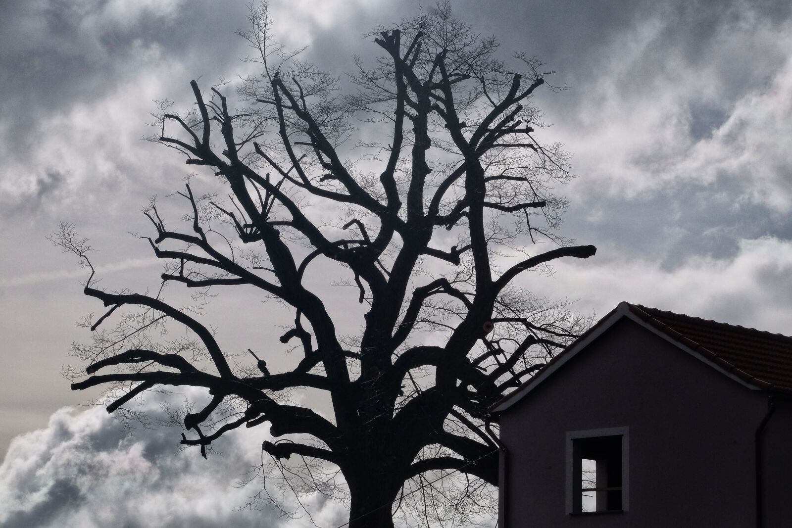 Fujifilm X-E2 sample photo. Terror, horror, clouds photography