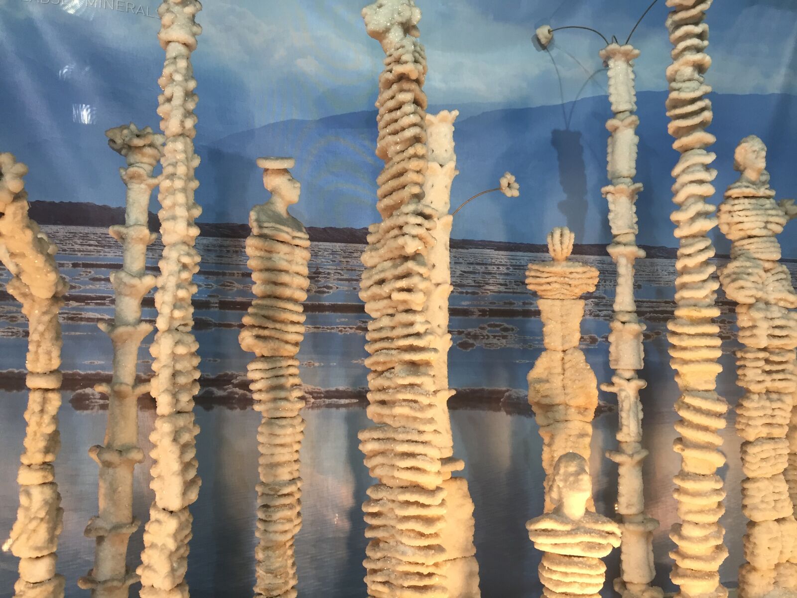 iPhone 6 back camera 4.15mm f/2.2 sample photo. Dead sea sculptures, dead photography