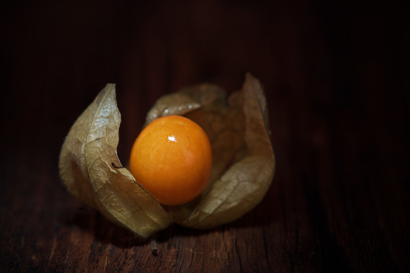 Nikon D750 sample photo. Physalis, physalis peruviana, cape photography