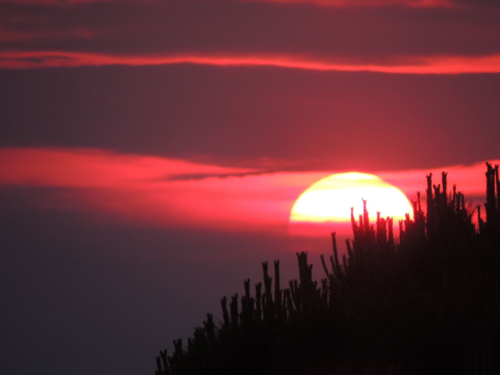 Nikon Coolpix P510 sample photo. Sunset, trieste, italy photography
