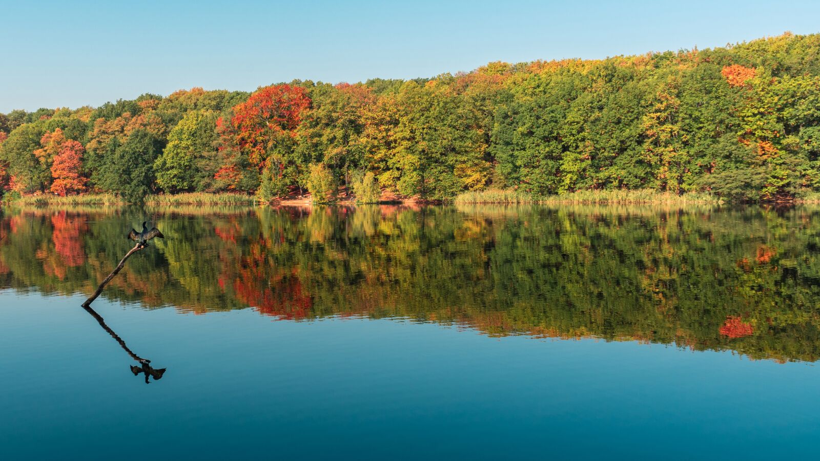 Sony a7 II + Sony FE 28-70mm F3.5-5.6 OSS sample photo. Autumn, lake, water photography