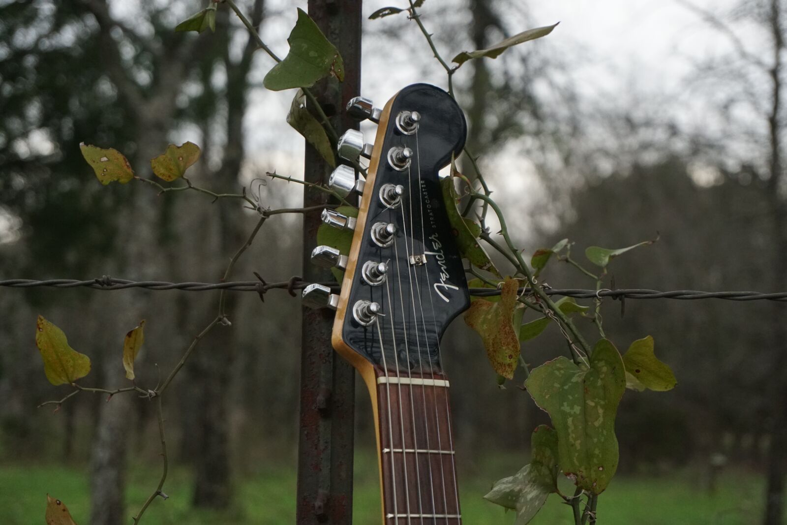 Sony a6300 sample photo. Electric guitar, guitar, music photography
