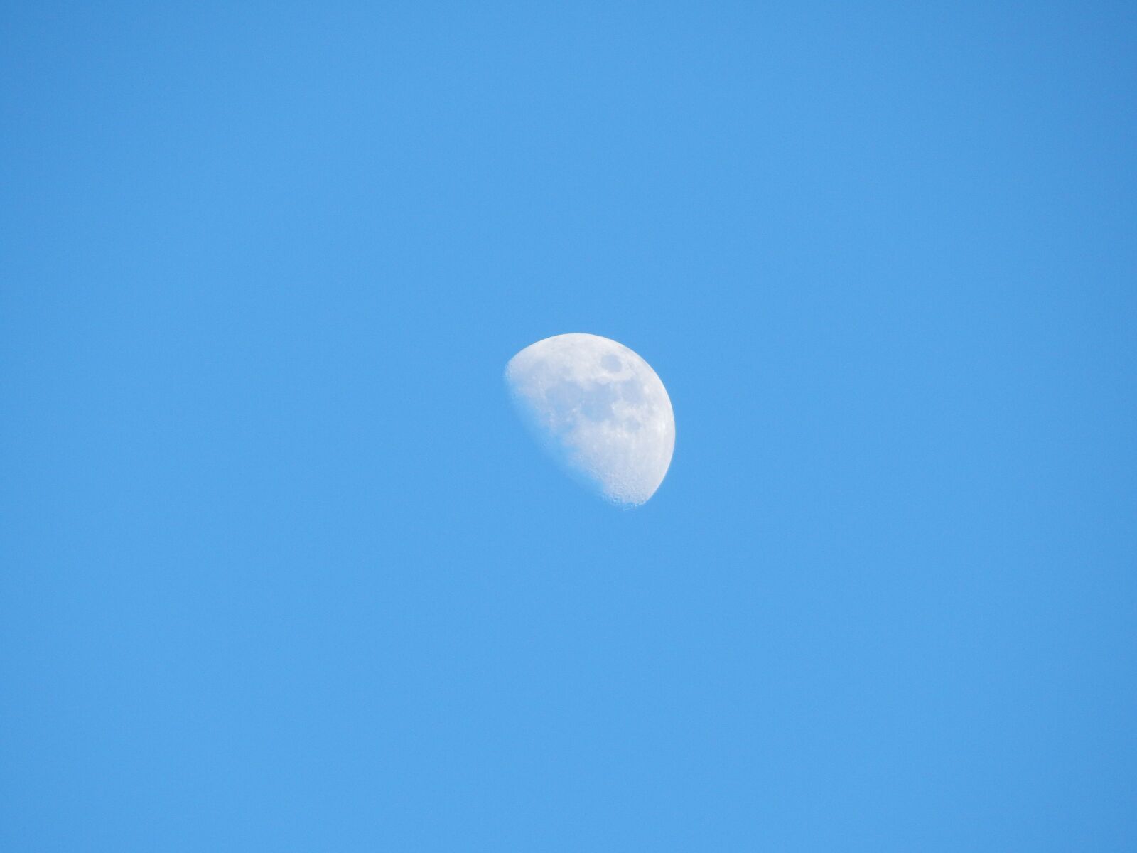 Nikon Coolpix L830 sample photo. Moon, day, sky photography