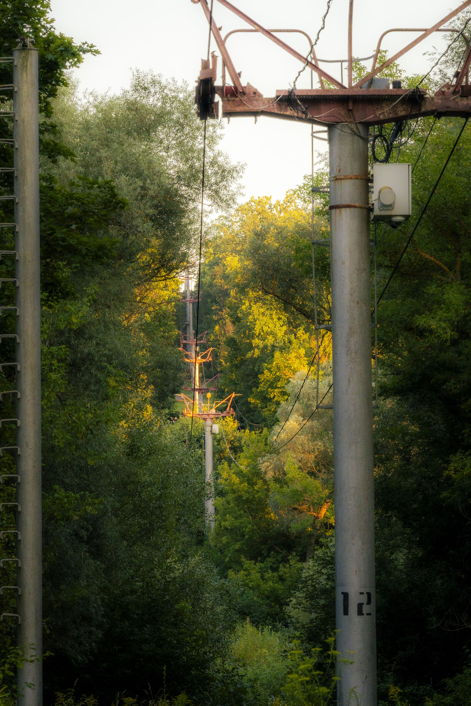Sony a7 IV sample photo