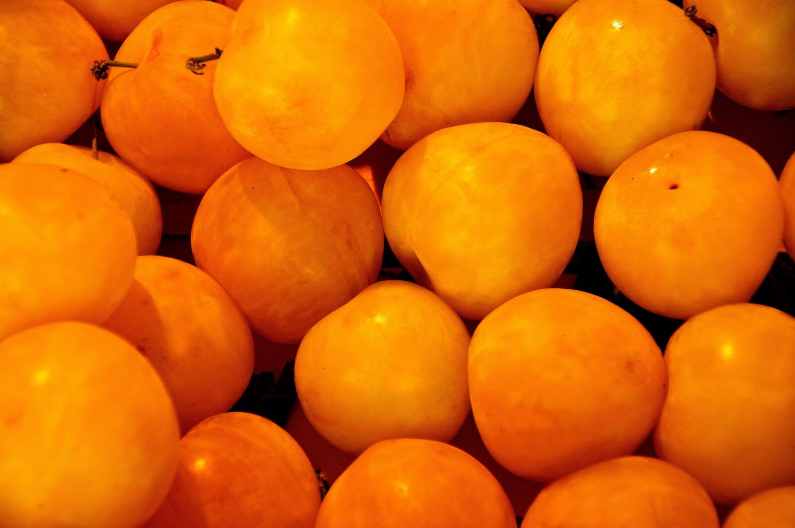 Nikon D3200 sample photo. Apricot, mirabelle, sweet photography