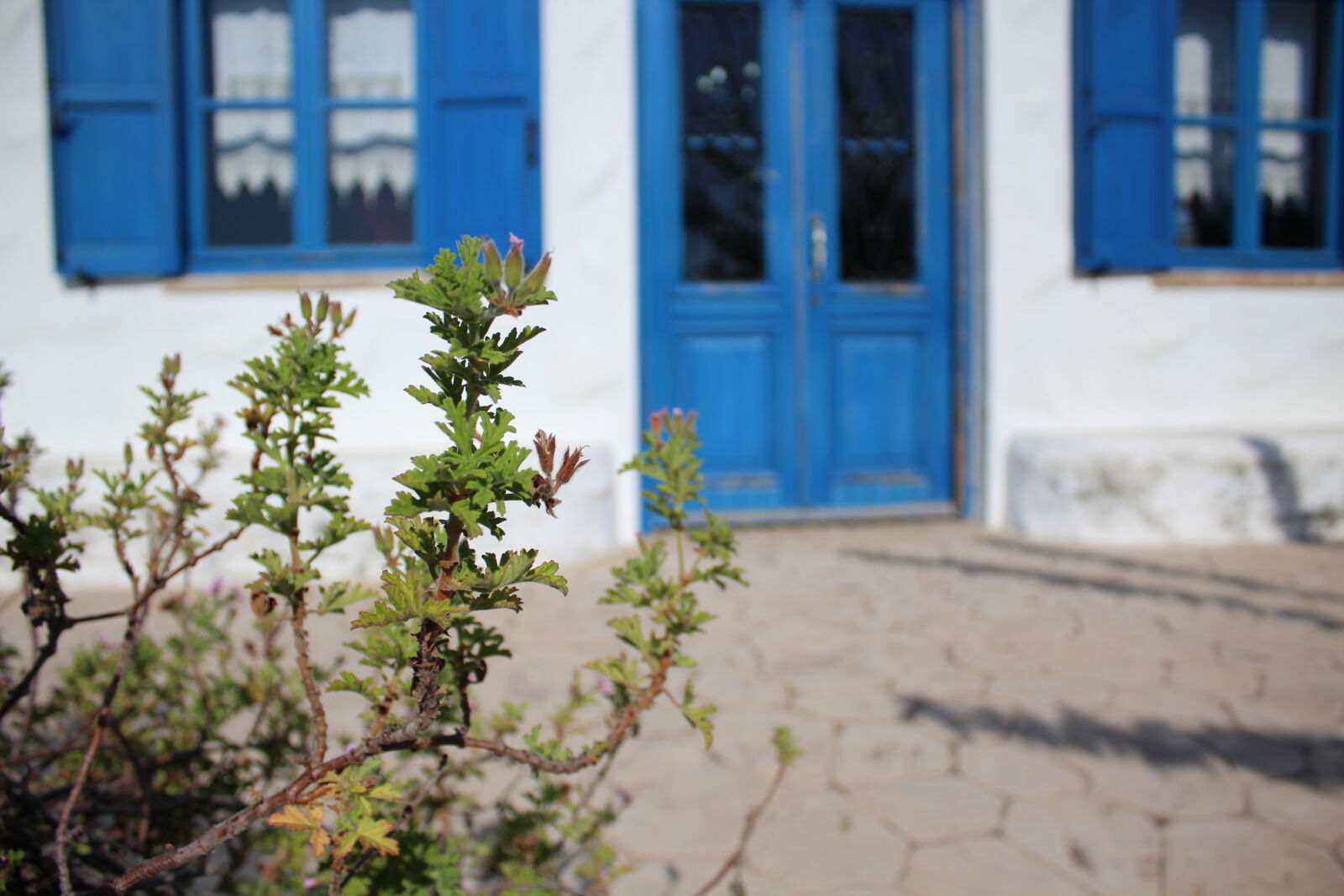Canon EOS 1200D (EOS Rebel T5 / EOS Kiss X70 / EOS Hi) sample photo. Door, shutters, window, shutters photography
