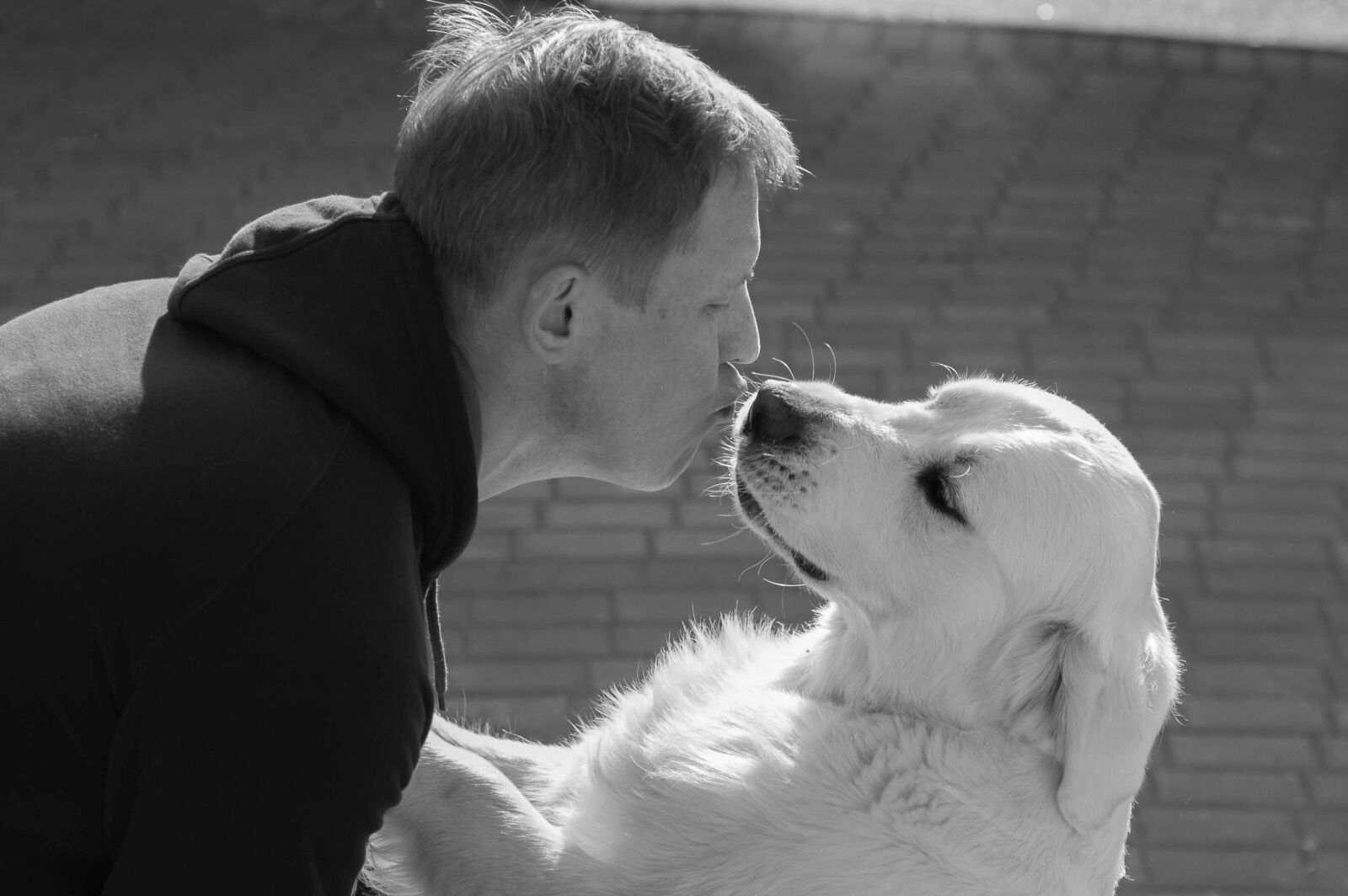 Nikon D50 sample photo. Dog, puppy, friend photography