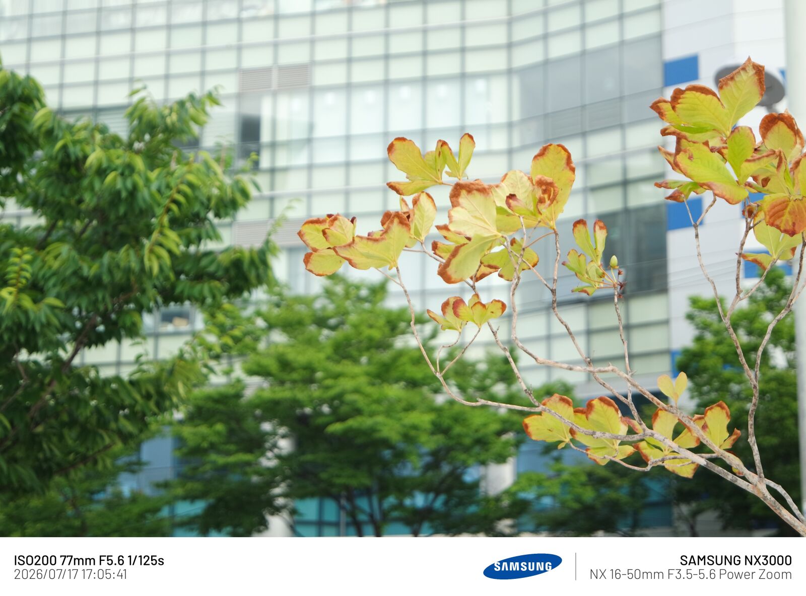 Samsung NX3000 sample photo