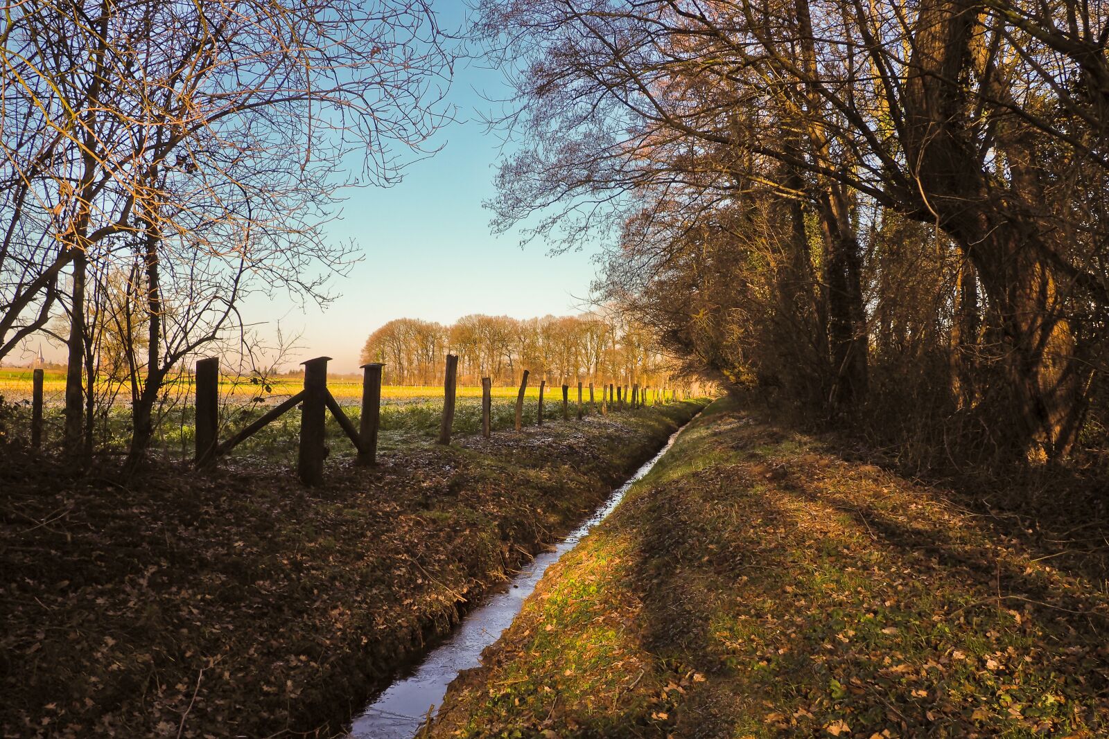 Olympus OM-D E-M10 sample photo. Landscape, bach, nature photography