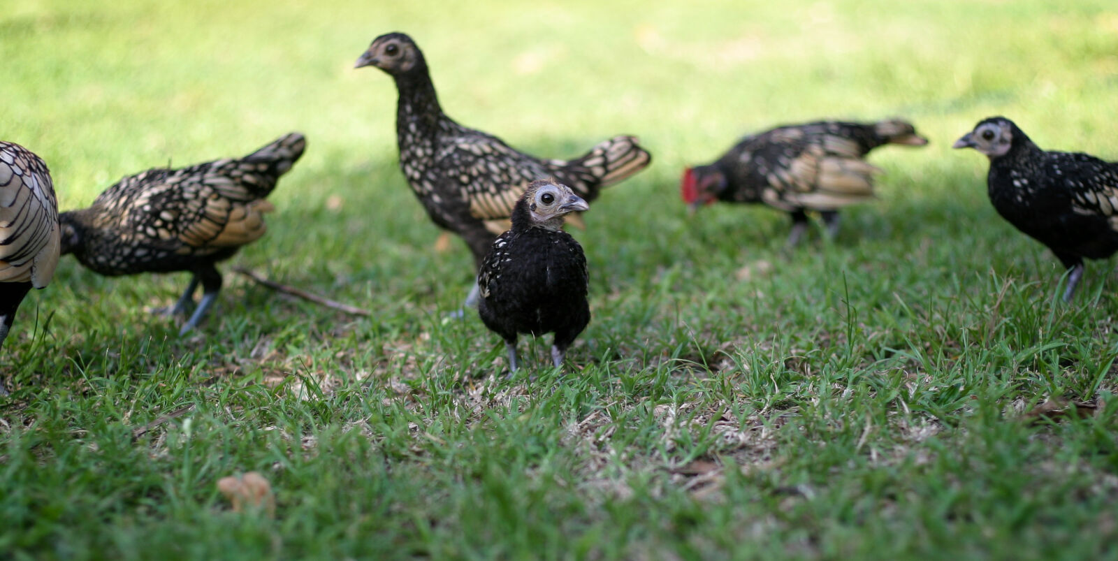 Canon EOS 10D sample photo