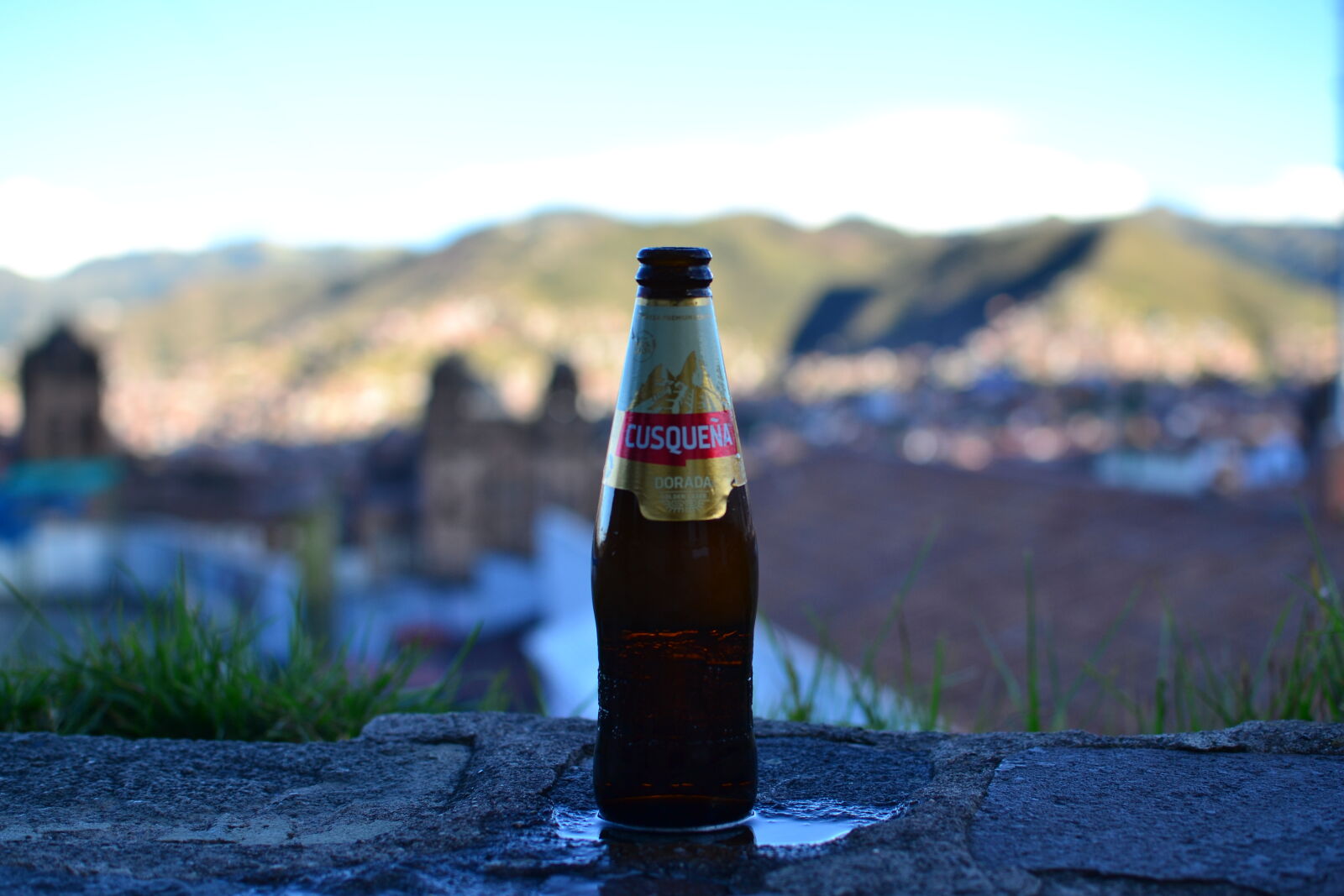 Nikon D3100 sample photo