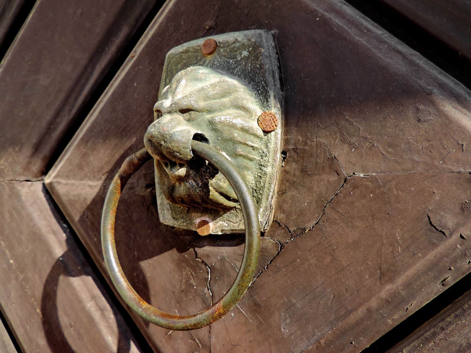 Nikon Coolpix P520 sample photo. Brass, front door, device photography