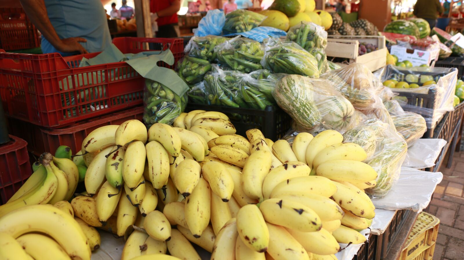 Canon EOS 70D sample photo. Banana, fair, fruit stand photography