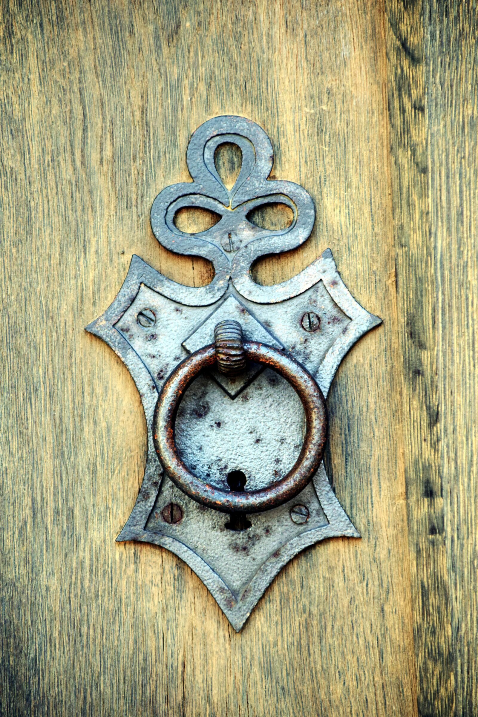 Nikon D3300 sample photo. Thumper, door, handle photography