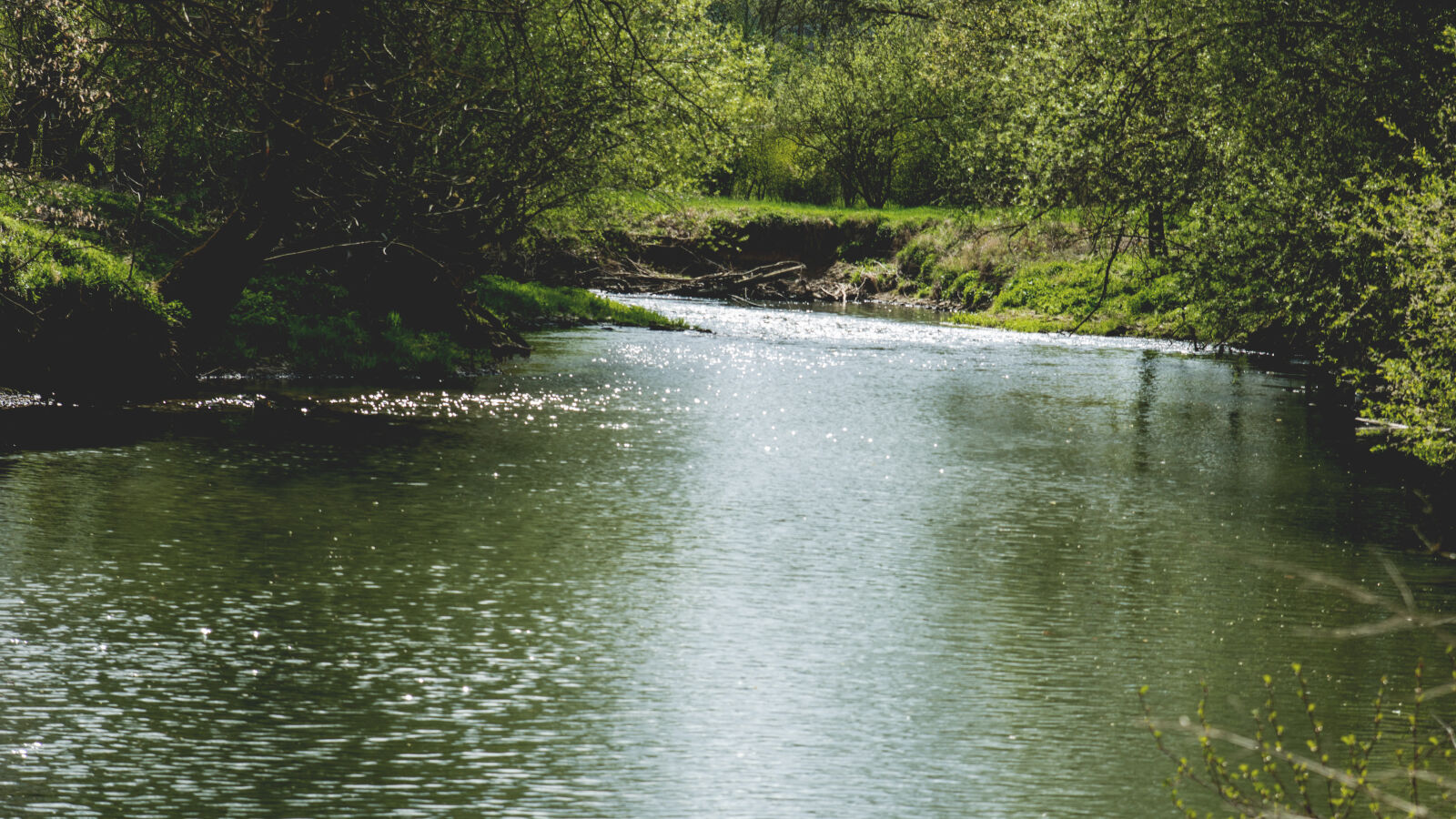 24-70mm F2.8-2.8 SSM sample photo. Nature, river, water photography
