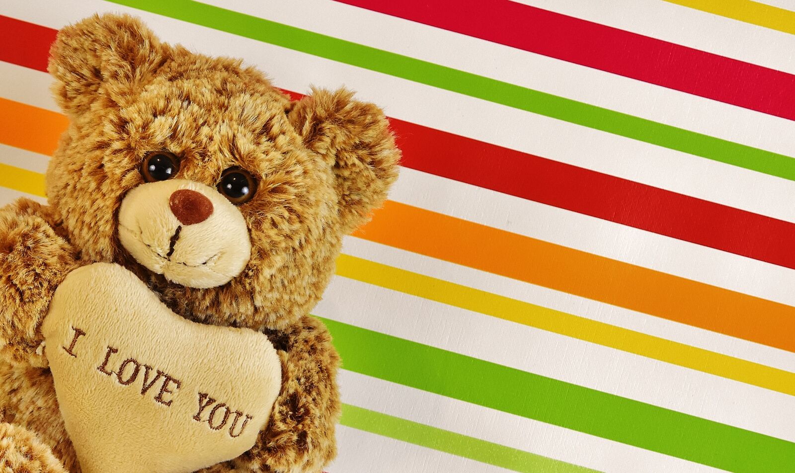 Nikon D7200 sample photo. Love, teddy, bears photography
