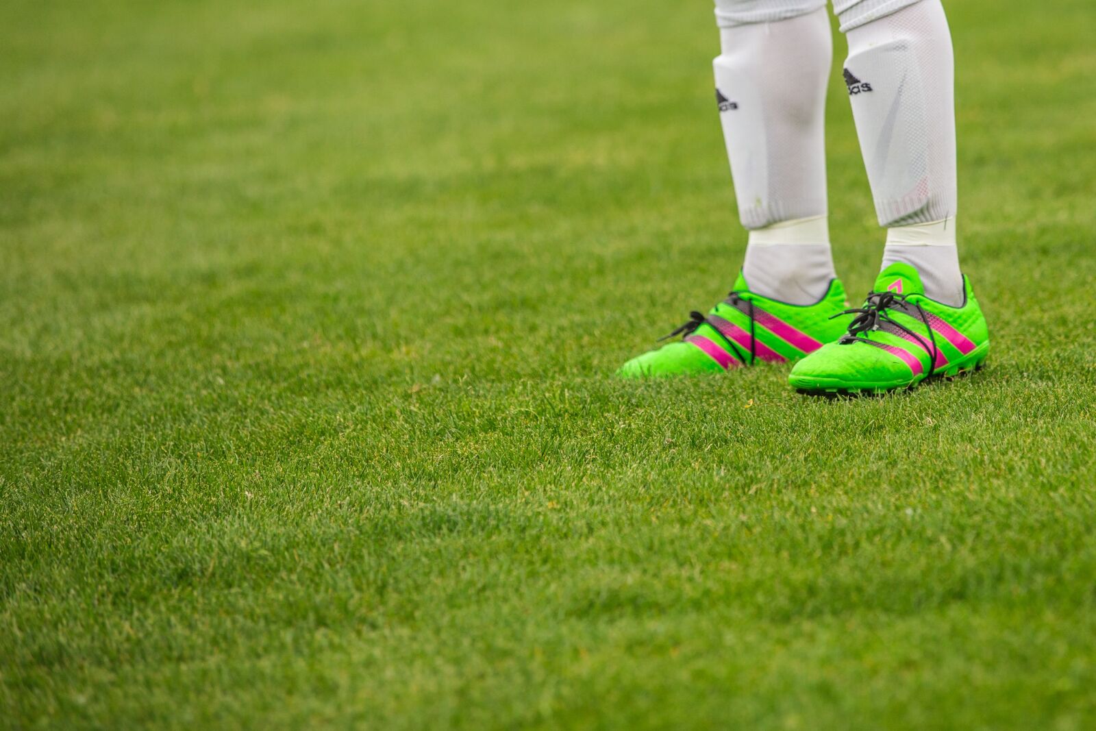 Canon EOS 6D sample photo. Football, footballers, fielder photography