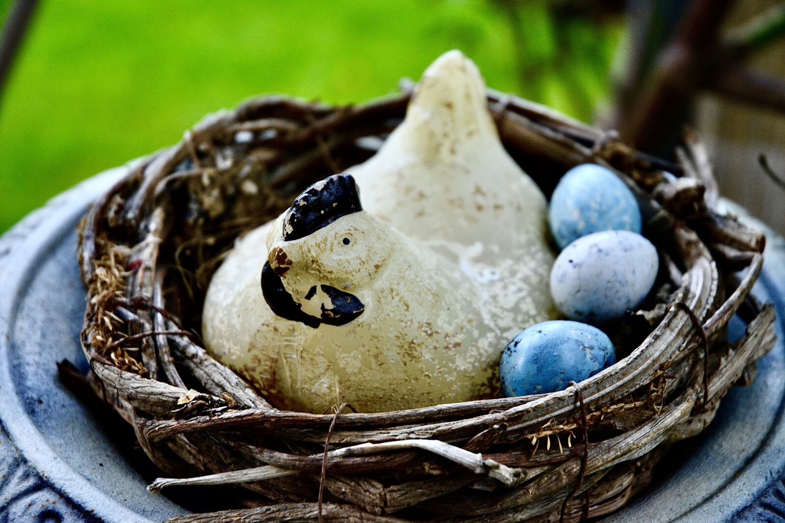 Nikon D5200 sample photo. Egg, hen, easter photography