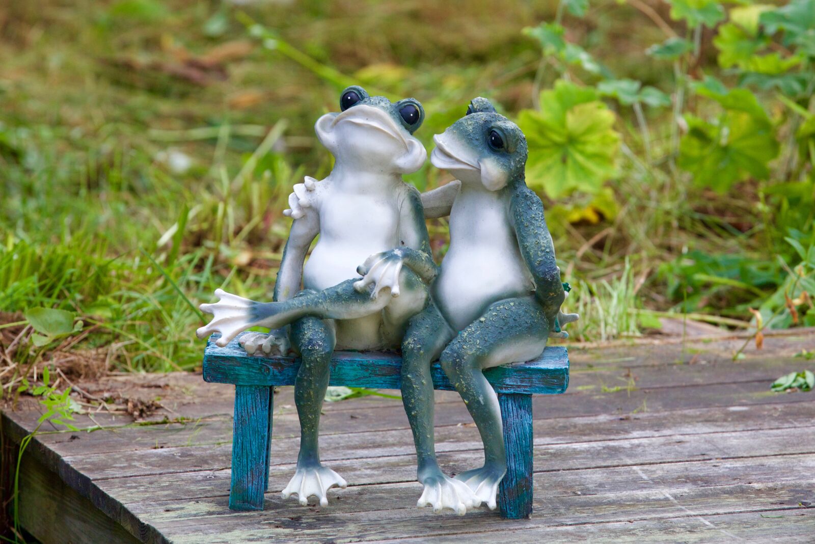 Canon EOS 5D Mark III sample photo. Frogs, kiss, love photography