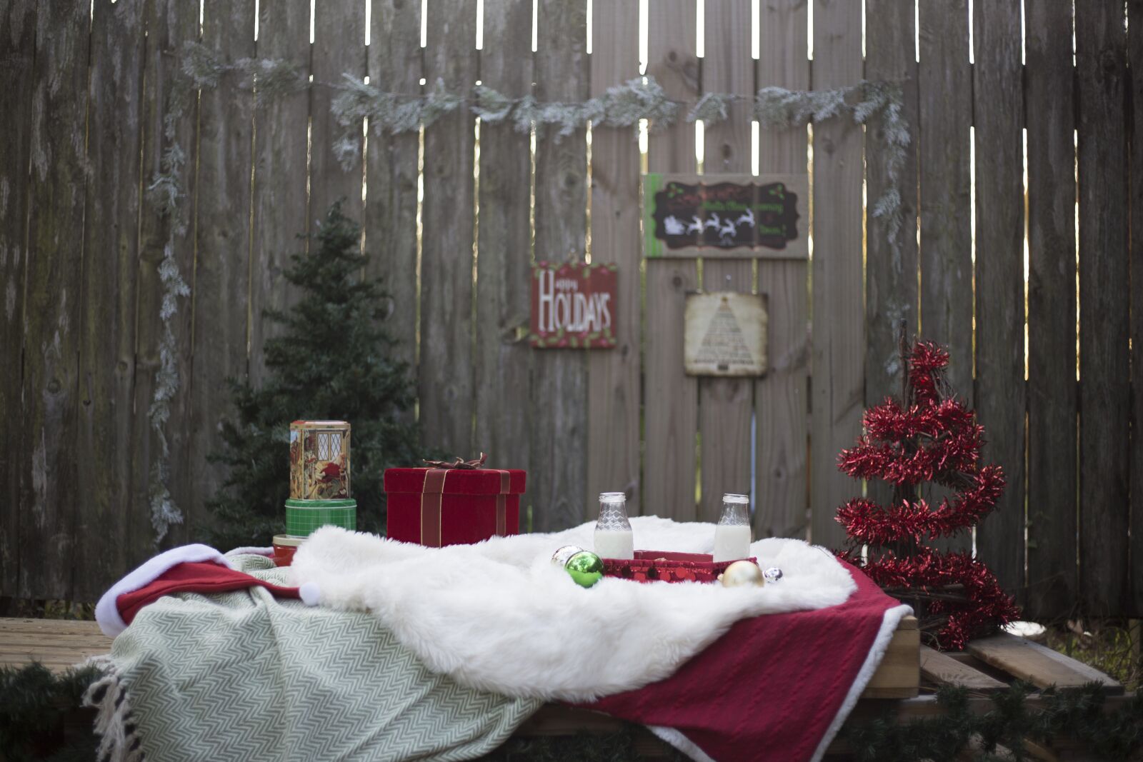 Canon EOS 6D + Canon EF 50mm F1.8 STM sample photo. Christmas, milk and cookies photography