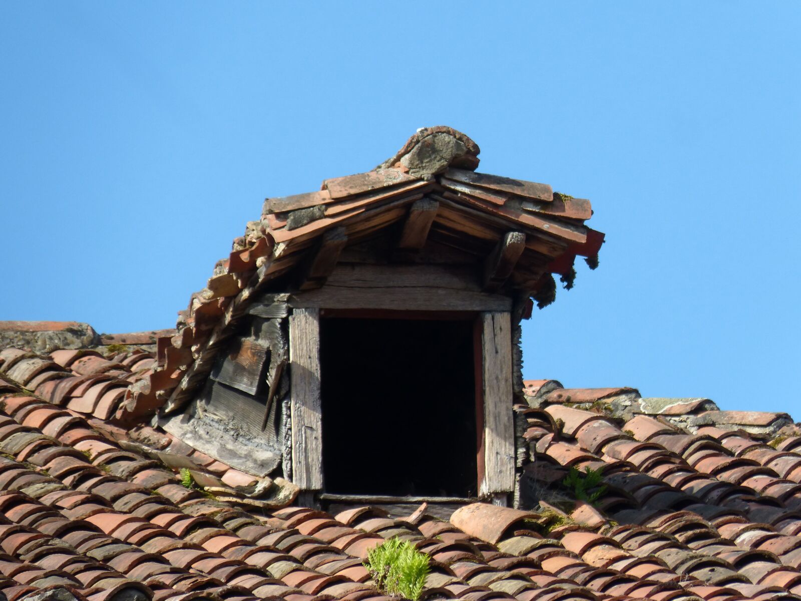 Panasonic DMC-FZ62 sample photo. Little window, roof, old photography