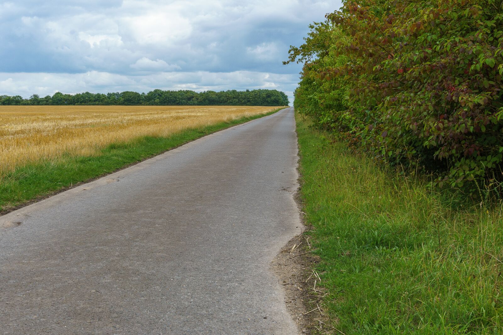 Sony a6000 sample photo. Bicycle tour, away, cycling photography