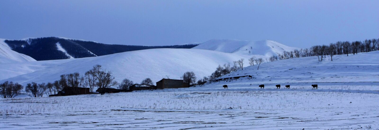 Canon EOS 40D sample photo. China, inner mongolia, scenery photography