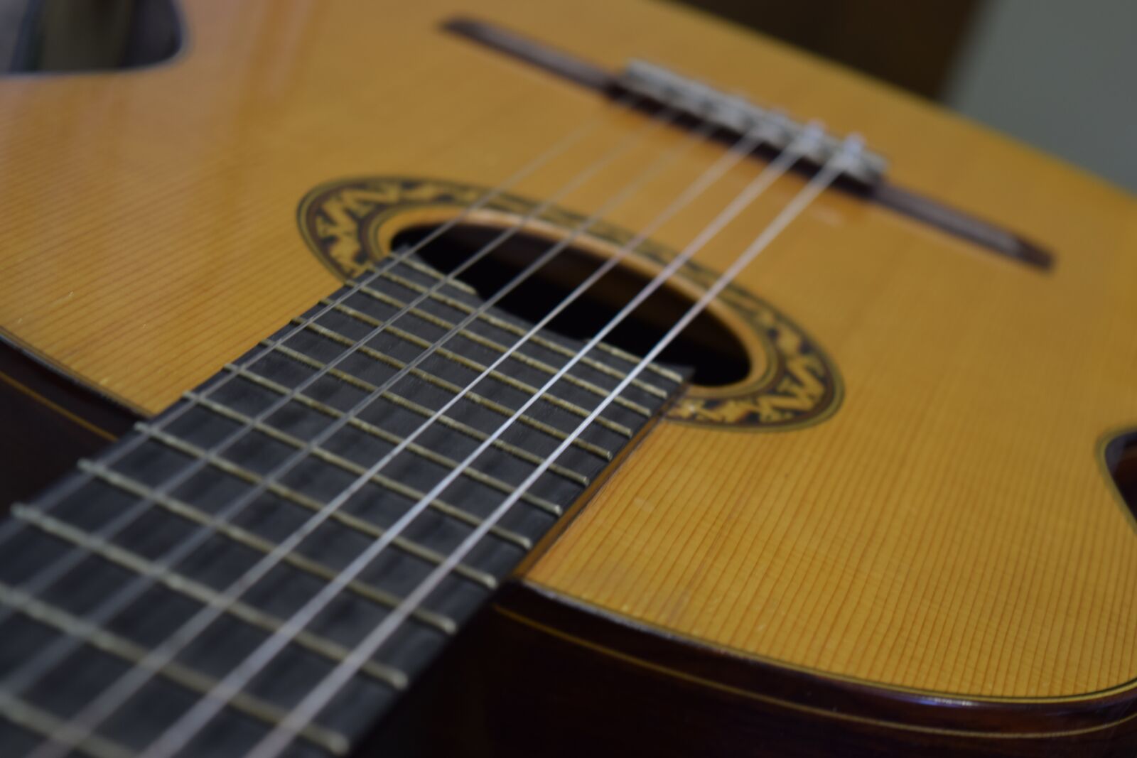 Nikon D5300 sample photo. Guitar, music, instrument photography